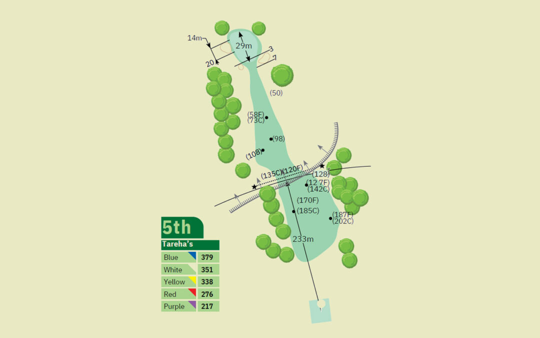Hole 5